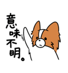 主張する犬(日向)（個別スタンプ：30）