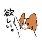 主張する犬(日向)（個別スタンプ：34）