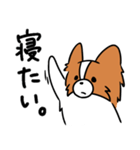 主張する犬(日向)（個別スタンプ：36）