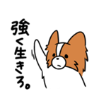 主張する犬(日向)（個別スタンプ：38）