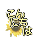 花 簡単会話 でか文字（個別スタンプ：2）