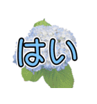 花 簡単会話 でか文字（個別スタンプ：5）