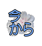 花 簡単会話 でか文字（個別スタンプ：24）