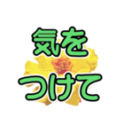 花 簡単会話 でか文字（個別スタンプ：39）