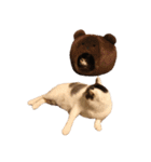 ぶさ猫 ムギくん3（個別スタンプ：20）