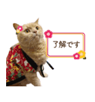 ブリショーとだまるのスタンプライフ2（個別スタンプ：1）