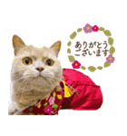 ブリショーとだまるのスタンプライフ2（個別スタンプ：2）
