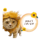 ブリショーとだまるのスタンプライフ2（個別スタンプ：5）