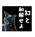 怪傑黒猫おはぎ 参上！その2（個別スタンプ：10）