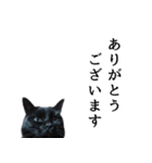 怪傑黒猫おはぎ 参上！その2（個別スタンプ：18）