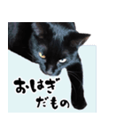 怪傑黒猫おはぎ 参上！その2（個別スタンプ：25）