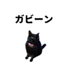 怪傑黒猫おはぎ 参上！その2（個別スタンプ：34）