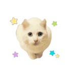 ゆきちゃんスタンプ。（個別スタンプ：1）