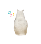 ゆきちゃんスタンプ。（個別スタンプ：14）