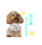 ぷりんちゃん✳︎（個別スタンプ：2）