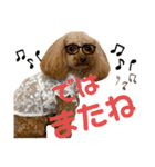 ぷりんちゃん✳︎（個別スタンプ：14）