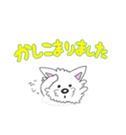 ウェスティのぽっちゃん(敬語編)（個別スタンプ：22）