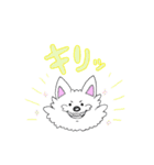 ウェスティのぽっちゃん(敬語編)（個別スタンプ：40）