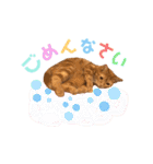 ただただ可愛いこうめちゃんスタンプ敬語篇（個別スタンプ：4）