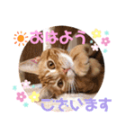 ただただ可愛いこうめちゃんスタンプ敬語篇（個別スタンプ：6）