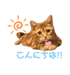 ただただ可愛いこうめちゃんスタンプ敬語篇（個別スタンプ：7）