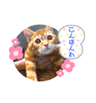 ただただ可愛いこうめちゃんスタンプ敬語篇（個別スタンプ：9）