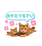 ただただ可愛いこうめちゃんスタンプ敬語篇（個別スタンプ：10）