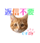 ただただ可愛いこうめちゃんスタンプ敬語篇（個別スタンプ：12）