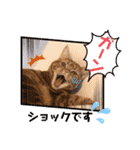 ただただ可愛いこうめちゃんスタンプ敬語篇（個別スタンプ：18）