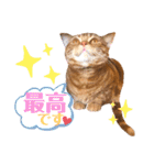 ただただ可愛いこうめちゃんスタンプ敬語篇（個別スタンプ：20）