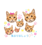 ただただ可愛いこうめちゃんスタンプ敬語篇（個別スタンプ：21）