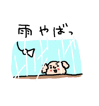 トイプーと一緒♪＜雨・梅雨・天気＞（個別スタンプ：12）