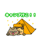 夏☆キジねこ ひめ太と茶トラのちょむ太（個別スタンプ：13）