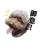 すばるんるん3（個別スタンプ：1）