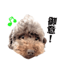 すばるんるん3（個別スタンプ：2）
