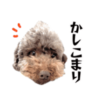 すばるんるん3（個別スタンプ：3）