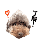 すばるんるん3（個別スタンプ：4）