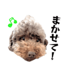 すばるんるん3（個別スタンプ：5）