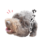 すばるんるん3（個別スタンプ：8）