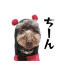 すばるんるん3（個別スタンプ：11）