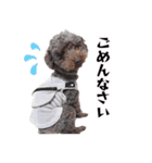 すばるんるん3（個別スタンプ：12）