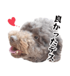 すばるんるん3（個別スタンプ：14）