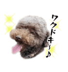 すばるんるん3（個別スタンプ：15）