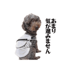 すばるんるん3（個別スタンプ：18）