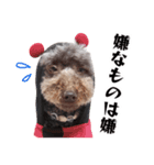 すばるんるん3（個別スタンプ：19）