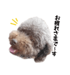 すばるんるん3（個別スタンプ：21）
