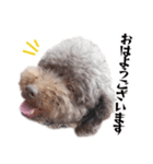 すばるんるん3（個別スタンプ：22）