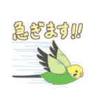 インコったらインコ！（個別スタンプ：14）