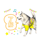かわいいあーるさん（個別スタンプ：2）