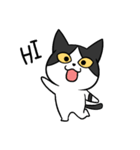 YAPI 猫猫–01日常スタンプ（個別スタンプ：1）